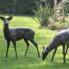 STATUES & SCULPTURES Wild Stag & Doe Life-Size Bronze Garden Statues Best