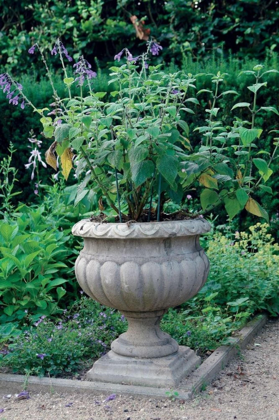 STATUES & SCULPTURES Buckingham Urn Stone Garden Planter Online