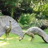 STATUES & SCULPTURES Majestic Peacocks Life-Size Bronze Metal Garden Statues Hot