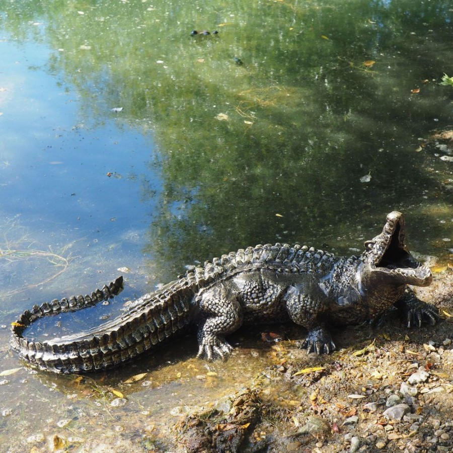 STATUES & SCULPTURES Baby Crocodile Bronze Metal Garden Ornament Best