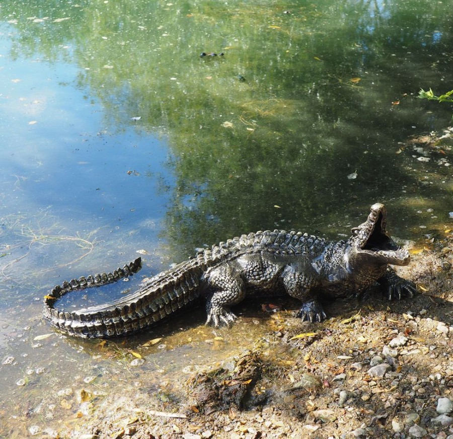 STATUES & SCULPTURES Baby Crocodile Bronze Metal Garden Ornament Best