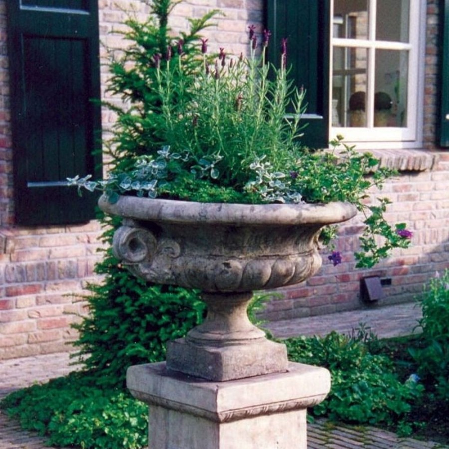 STATUES & SCULPTURES Edwardian Stone Garden Planter Clearance