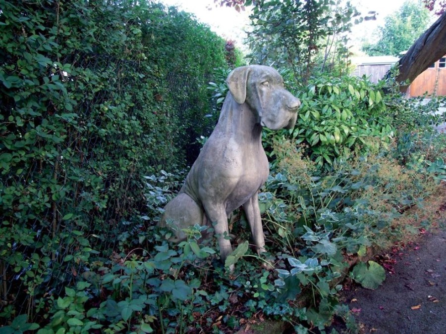 STATUES & SCULPTURES Great Dane Male Dog Stone Garden Statue Best